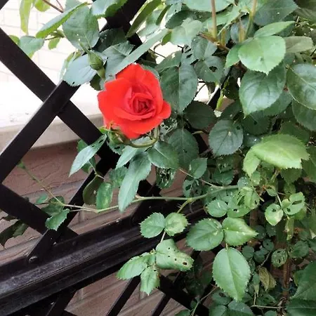 住宿加早餐酒店 B&B7 Santa Vittoria in Matenano